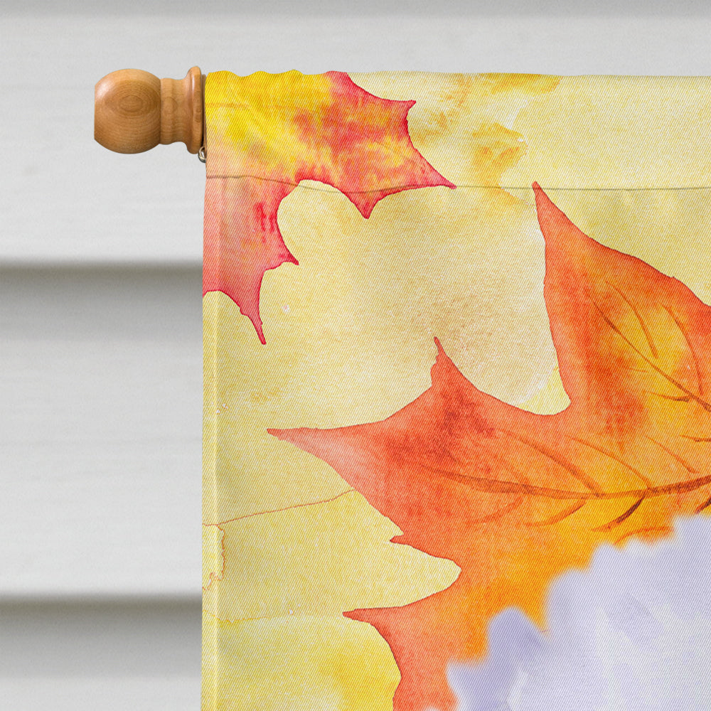 Bichon Frise Fall House Flag 28x40 Porch Sleeve Pole Decorative Outside Yard Banner Artwork Wall Hanging, Polyester