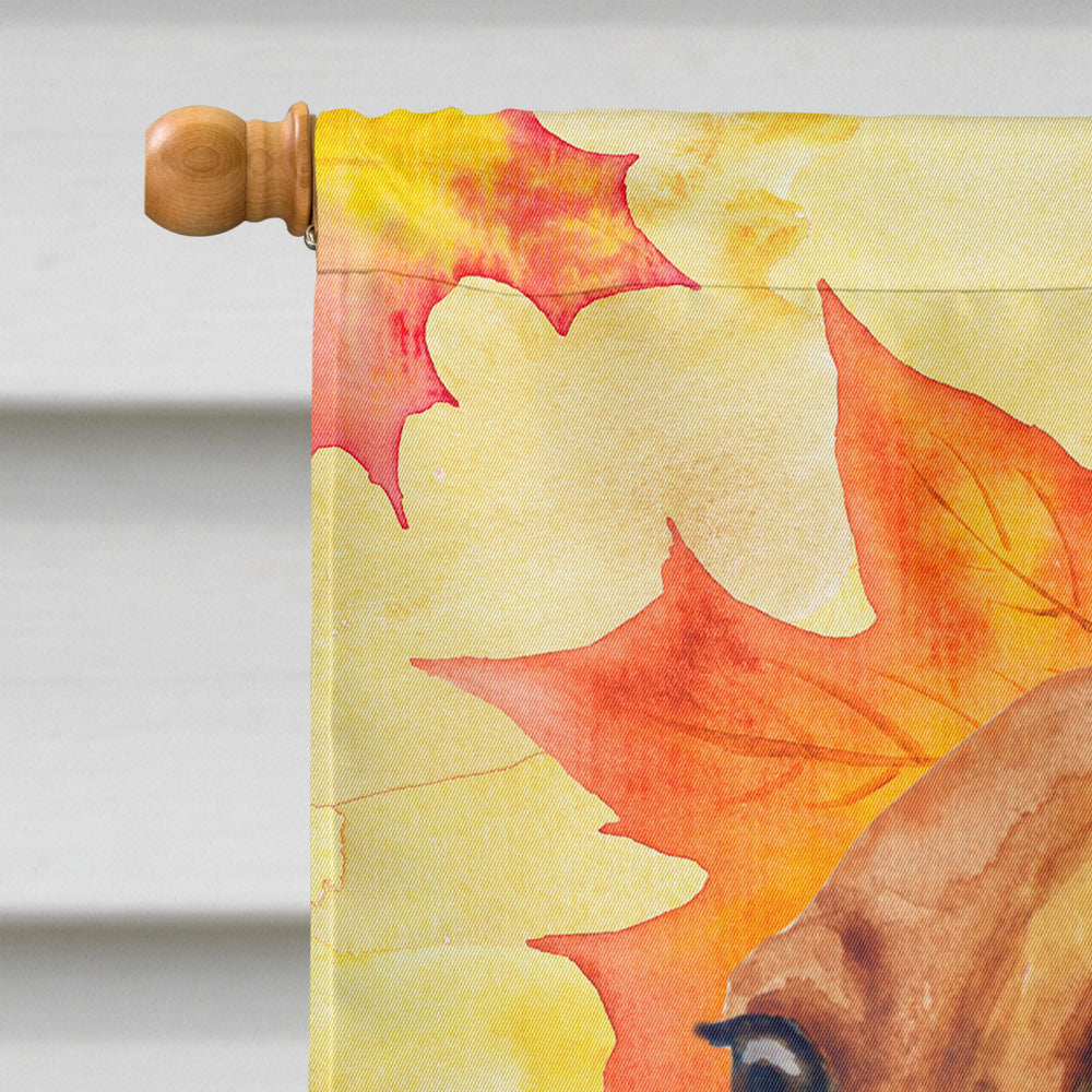 Dachshund Fall House Flag 28x40 Porch Sleeve Pole Decorative Outside Yard Banner Artwork Wall Hanging, Polyester