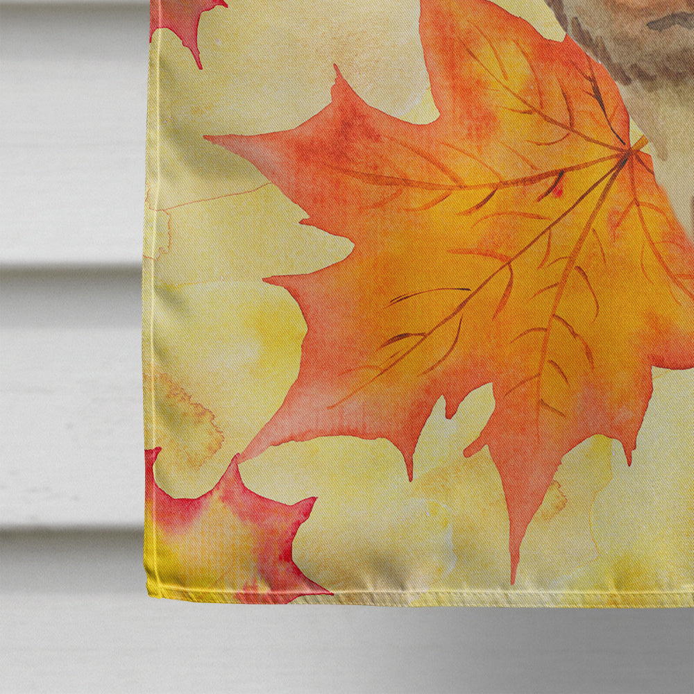 Dachshund Fall House Flag 28x40 Porch Sleeve Pole Decorative Outside Yard Banner Artwork Wall Hanging, Polyester