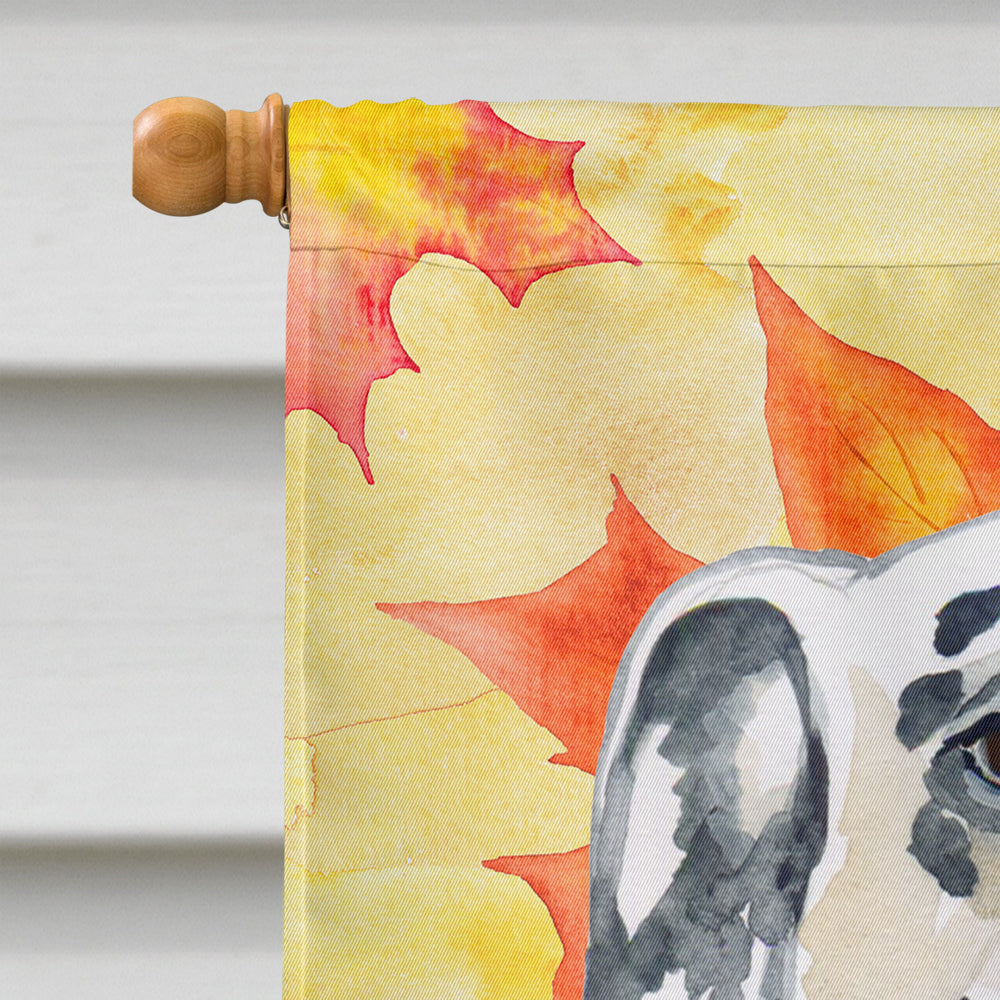 Dalmatian Fall House Flag 28x40 Porch Sleeve Pole Decorative Outside Yard Banner Artwork Wall Hanging, Polyester