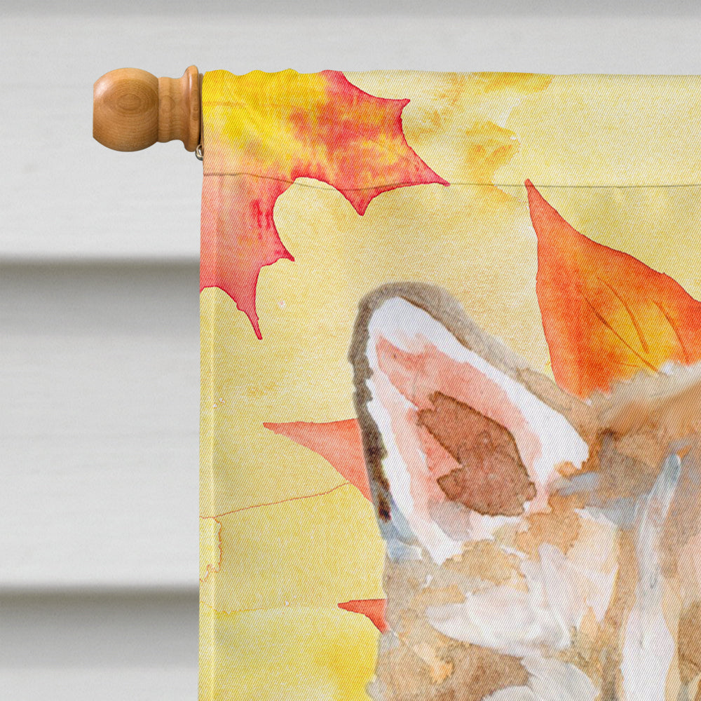 Siberian Husky Fall House Flag 28x40 Porch Sleeve Pole Decorative Outside Yard Banner Artwork Wall Hanging, Polyester