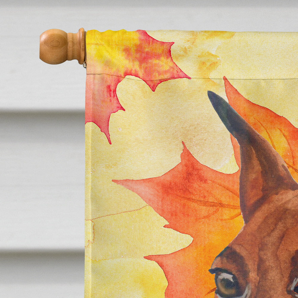 Miniature Pinscher Fall House Flag 28x40 Porch Sleeve Pole Decorative Outside Yard Banner Artwork Wall Hanging, Polyester