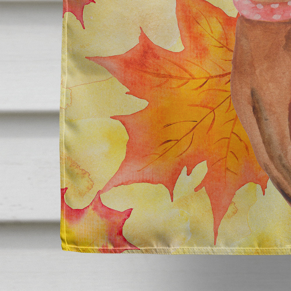 Miniature Pinscher Fall House Flag 28x40 Porch Sleeve Pole Decorative Outside Yard Banner Artwork Wall Hanging, Polyester