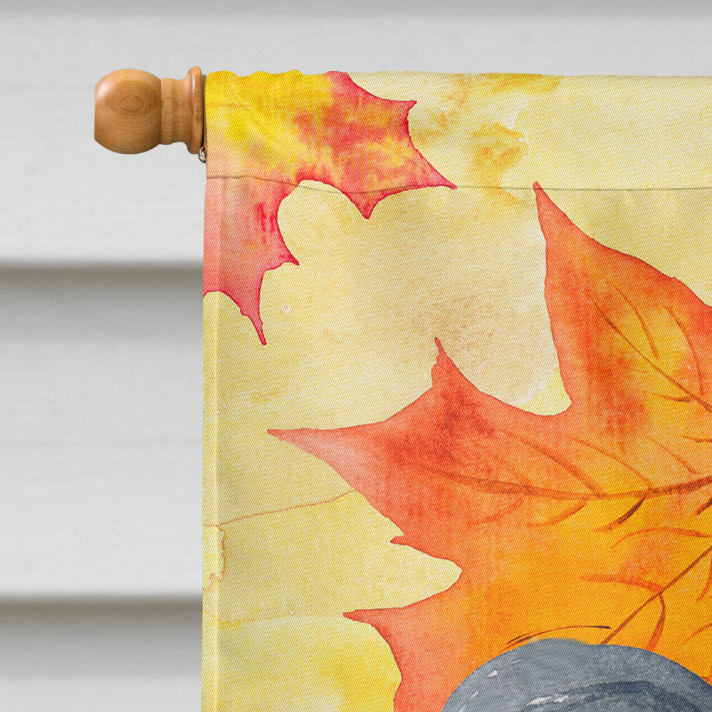 Papillon Fall House Flag 28x40 Porch Sleeve Pole Decorative Outside Yard Banner Artwork Wall Hanging, Polyester