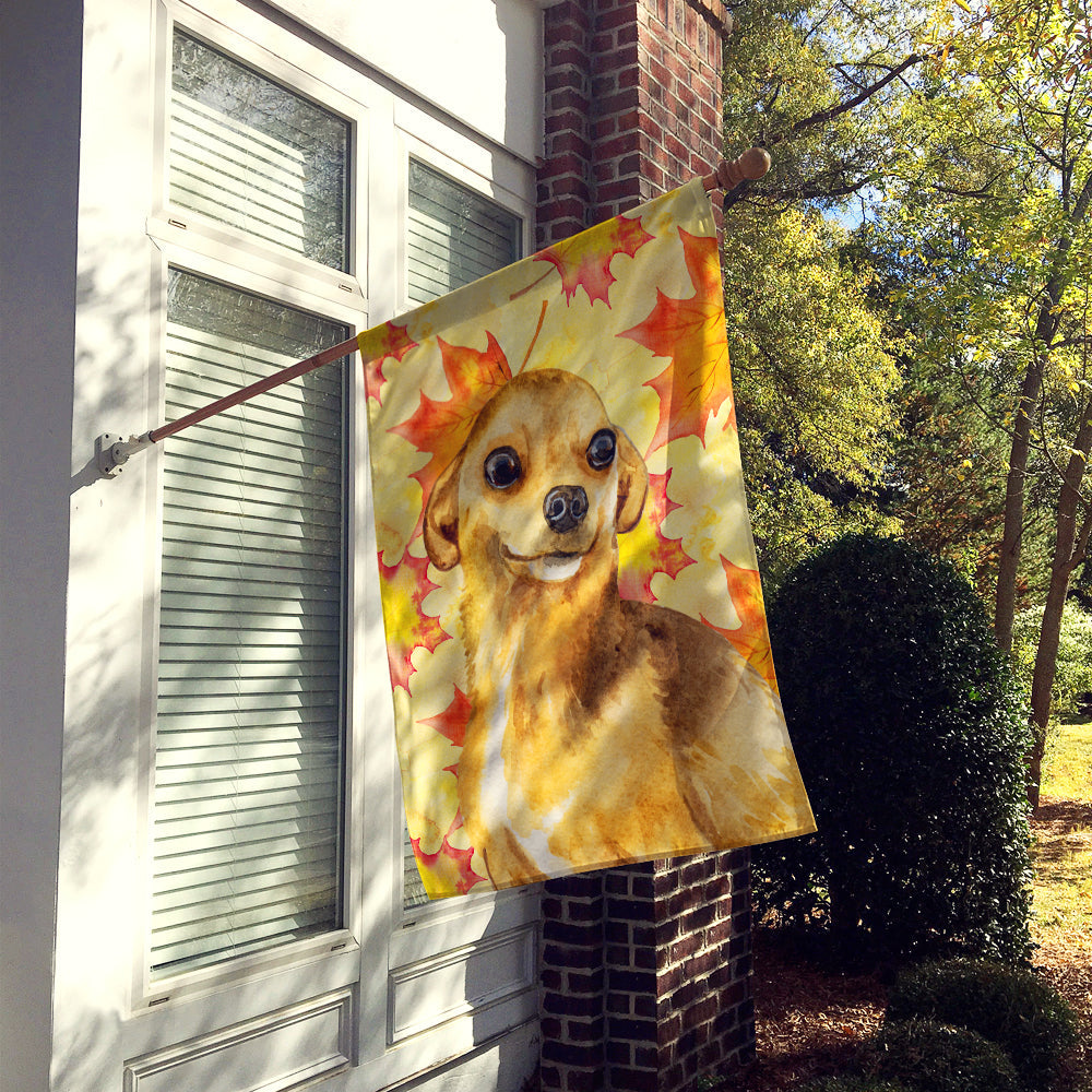 Chihuahua Fall House Flag 28x40 Porch Sleeve Pole Decorative Outside Yard Banner Artwork Wall Hanging, Polyester