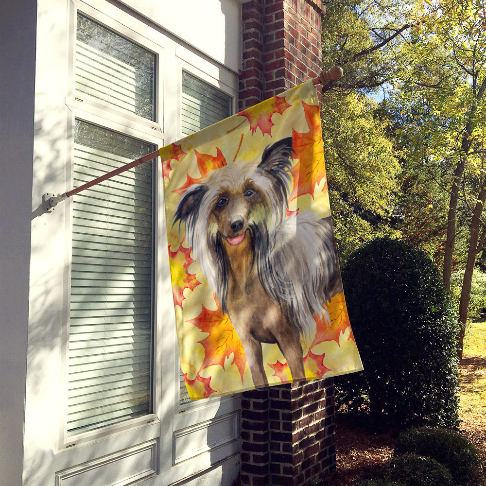 Chinese Crested Fall House Flag 28x40 Porch Sleeve Pole Decorative Outside Yard Banner Artwork Wall Hanging, Polyester