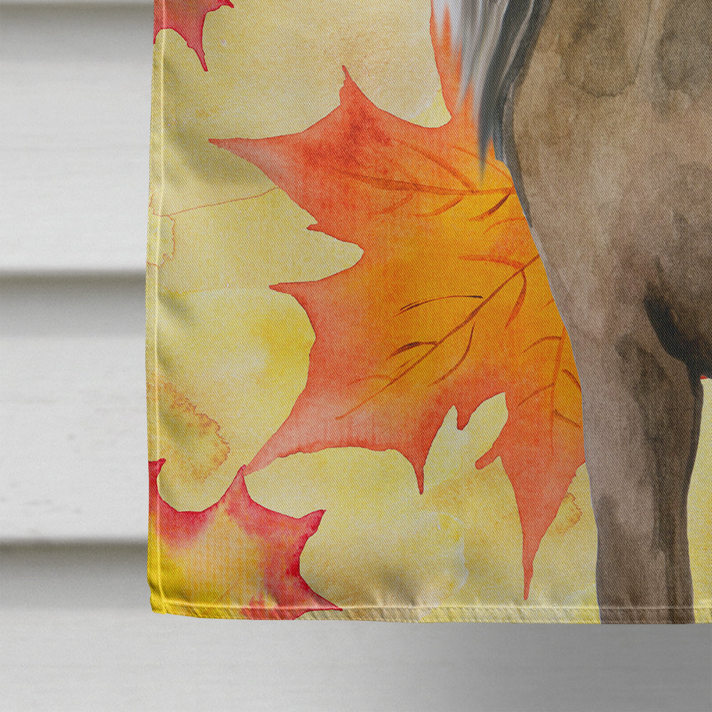 Chinese Crested Fall House Flag 28x40 Porch Sleeve Pole Decorative Outside Yard Banner Artwork Wall Hanging, Polyester