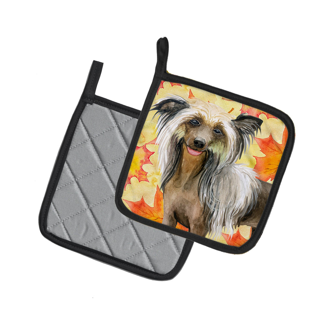 Chinese Crested Fall Pot Holder Set of 2 Heat Resistant Quilted Hot Pads 7.5 x 7.5 Inch, Insulated Kitchen Trivets for Cooking & Baking