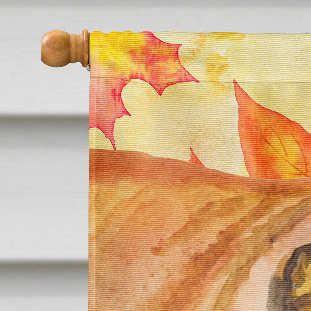 Shar Pei Fall House Flag 28x40 Porch Sleeve Pole Decorative Outside Yard Banner Artwork Wall Hanging, Polyester