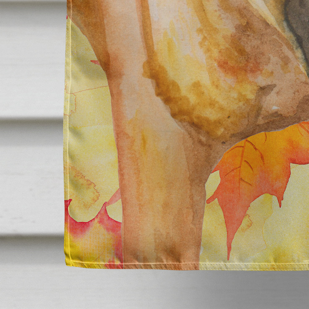 Shar Pei Fall House Flag 28x40 Porch Sleeve Pole Decorative Outside Yard Banner Artwork Wall Hanging, Polyester