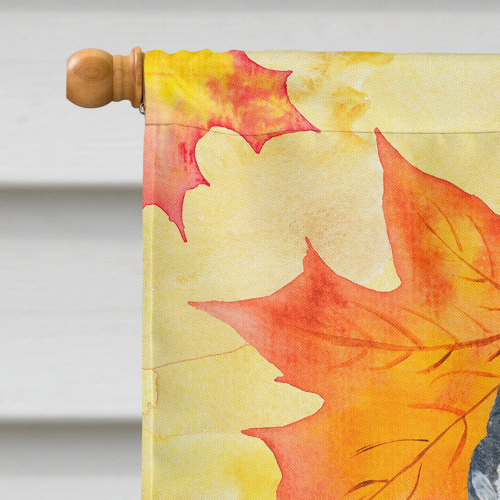 Schnauzer Fall House Flag 28x40 Porch Sleeve Pole Decorative Outside Yard Banner Artwork Wall Hanging, Polyester