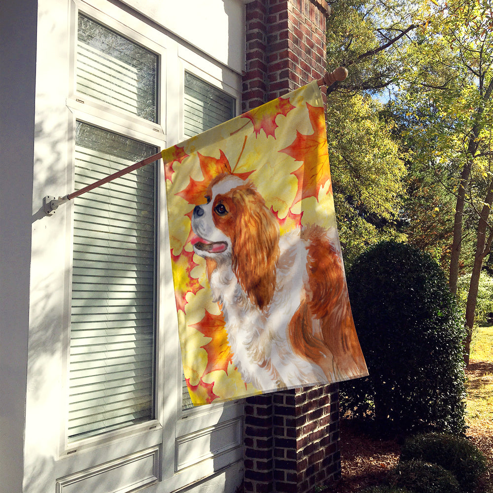 Cavalier Spaniel Fall House Flag 28x40 Porch Sleeve Pole Decorative Outside Yard Banner Artwork Wall Hanging, Polyester