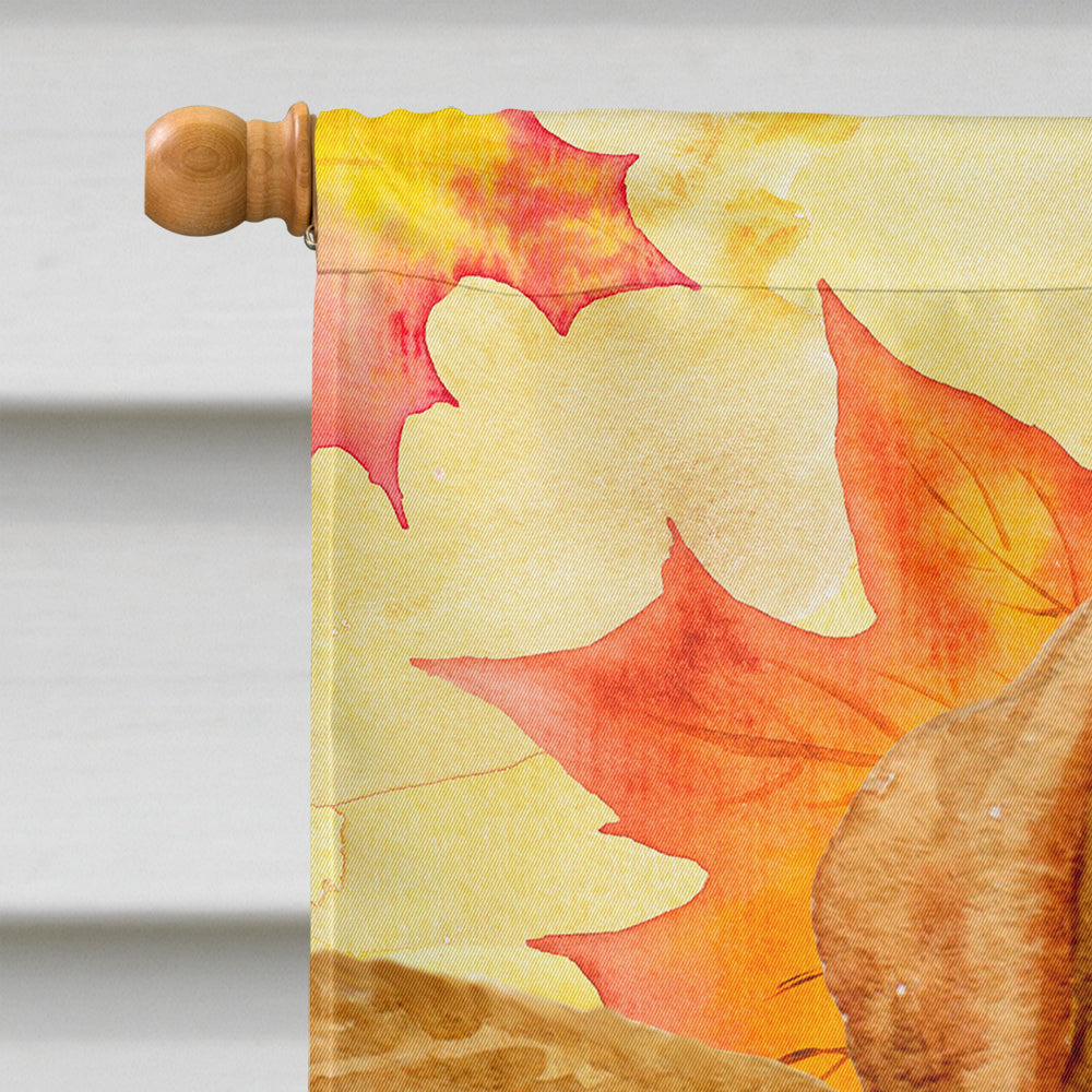 Golden Retriever Fall House Flag 28x40 Porch Sleeve Pole Decorative Outside Yard Banner Artwork Wall Hanging, Polyester