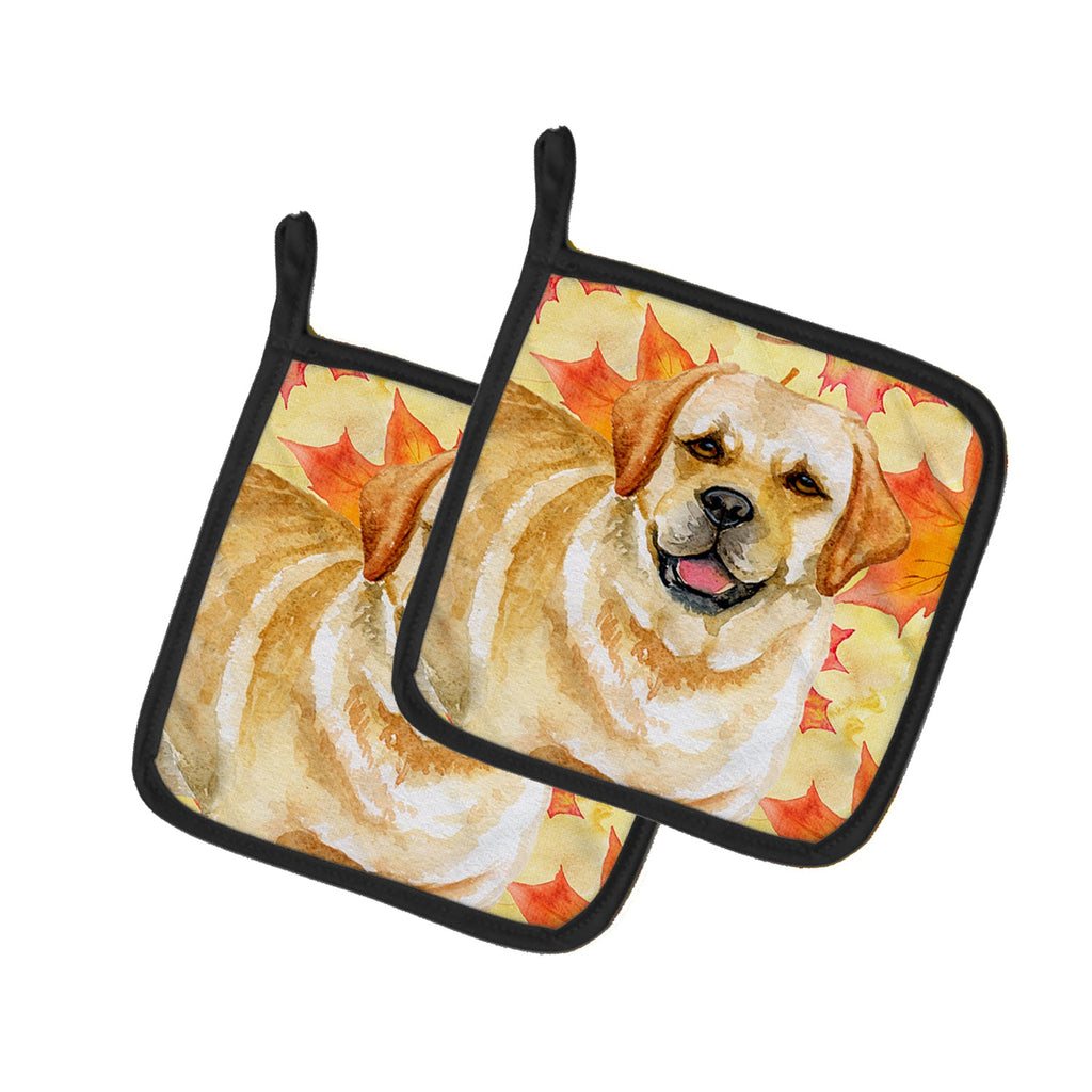 Golden Retriever Fall Pot Holder Set of 2 Heat Resistant Quilted Hot Pads 7.5 x 7.5 Inch, Insulated Kitchen Trivets for Cooking & Baking