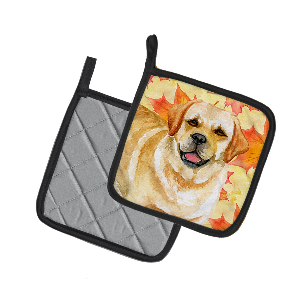 Golden Retriever Fall Pot Holder Set of 2 Heat Resistant Quilted Hot Pads 7.5 x 7.5 Inch, Insulated Kitchen Trivets for Cooking & Baking