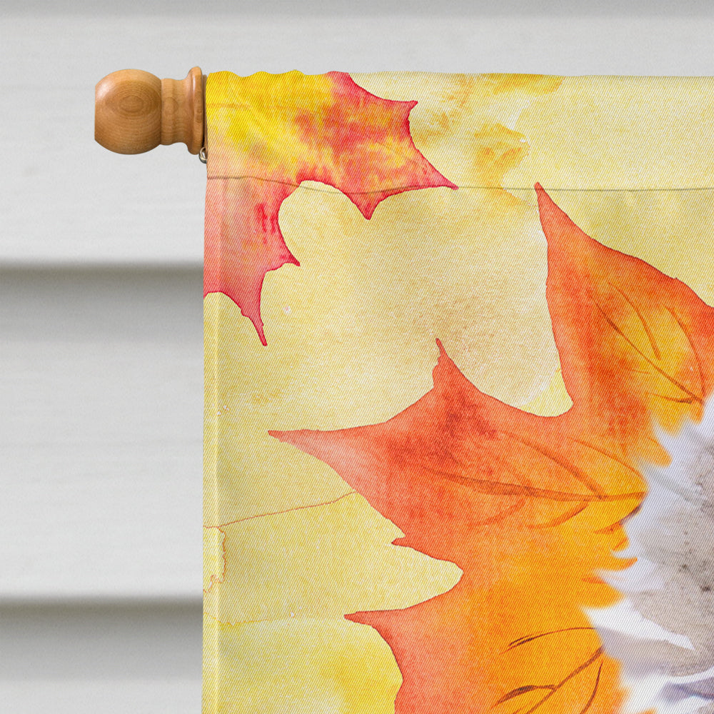 Poodle Fall House Flag 28x40 Porch Sleeve Pole Decorative Outside Yard Banner Artwork Wall Hanging, Polyester