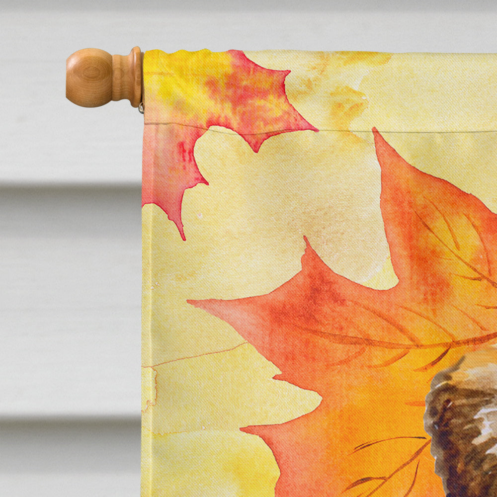 Small Brabant Griffon Fall House Flag 28x40 Porch Sleeve Pole Decorative Outside Yard Banner Artwork Wall Hanging, Polyester