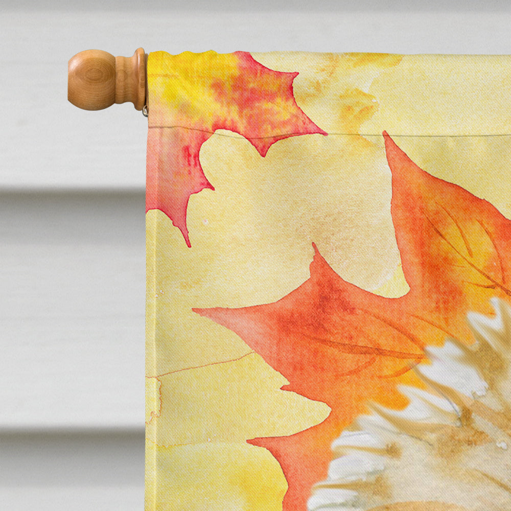 Morkie Fall House Flag 28x40 Porch Sleeve Pole Decorative Outside Yard Banner Artwork Wall Hanging, Polyester
