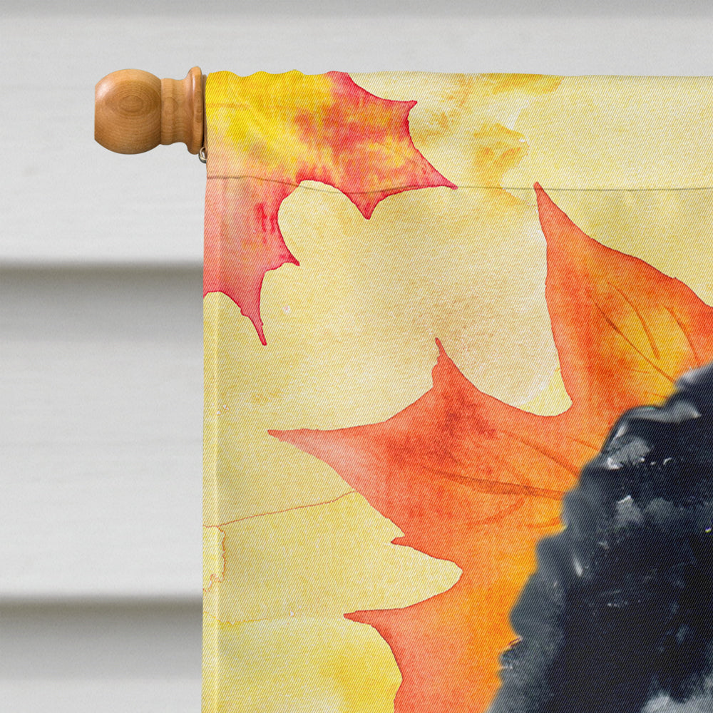 Newfoundland Fall House Flag 28x40 Porch Sleeve Pole Decorative Outside Yard Banner Artwork Wall Hanging, Polyester