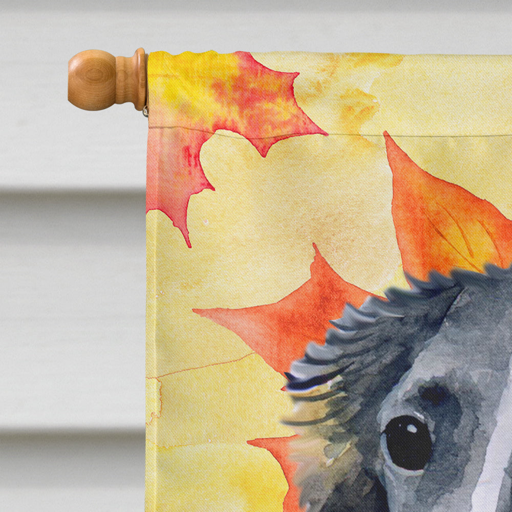 Borzoi Fall House Flag 28x40 Porch Sleeve Pole Decorative Outside Yard Banner Artwork Wall Hanging, Polyester
