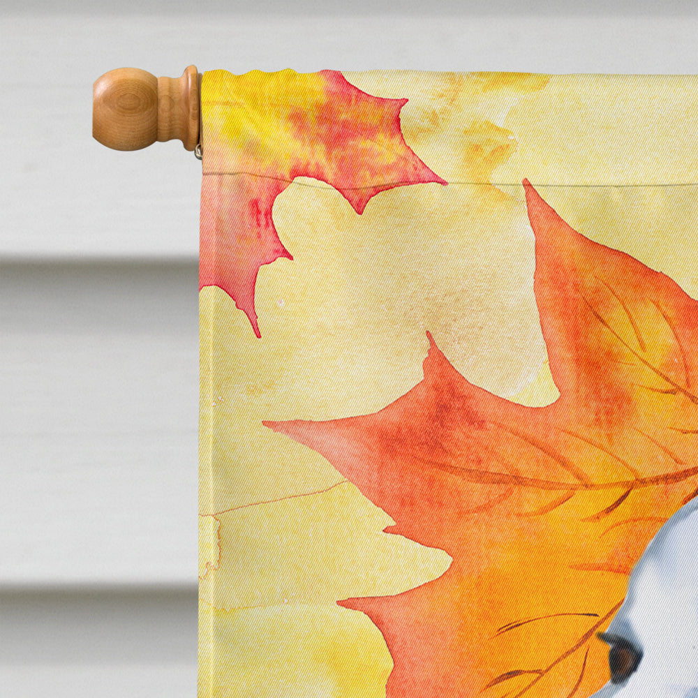 Maremma Sheepdog Fall House Flag 28x40 Porch Sleeve Pole Decorative Outside Yard Banner Artwork Wall Hanging, Polyester