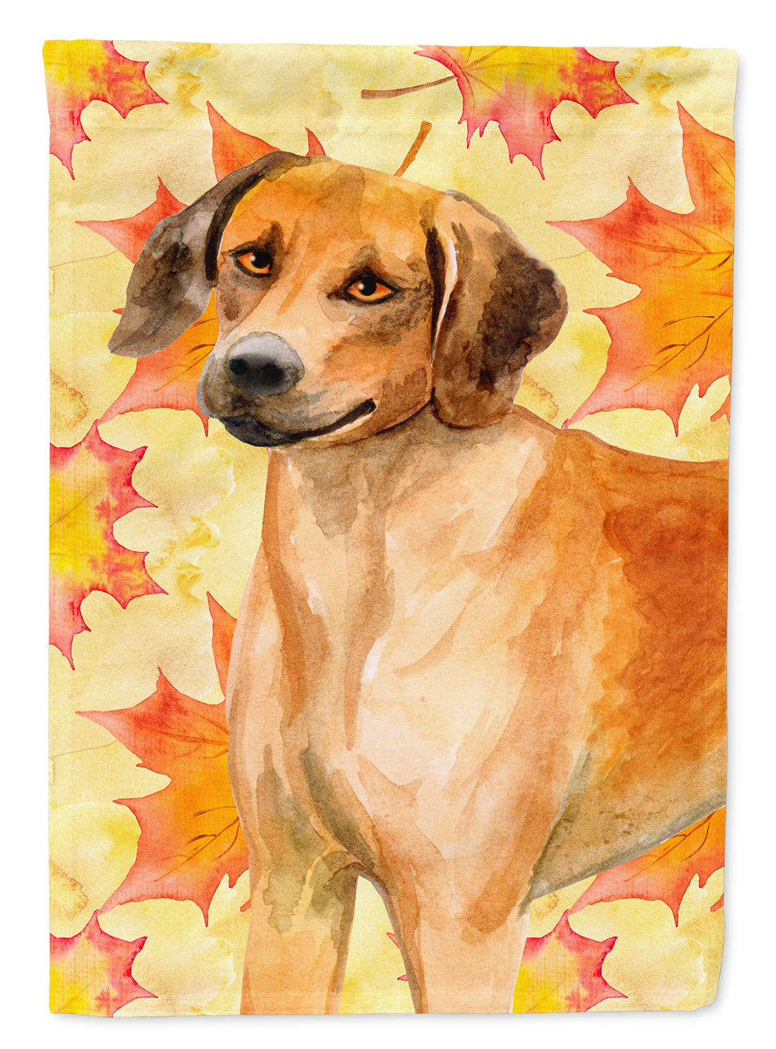 Rhodesian Ridgeback Fall House Flag 28x40 Porch Sleeve Pole Decorative Outside Yard Banner Artwork Wall Hanging, Polyester
