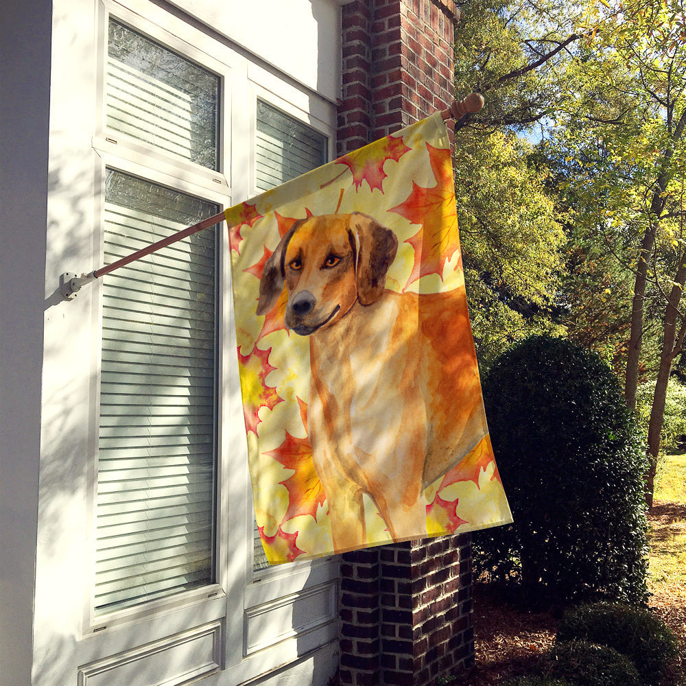 Rhodesian Ridgeback Fall House Flag 28x40 Porch Sleeve Pole Decorative Outside Yard Banner Artwork Wall Hanging, Polyester