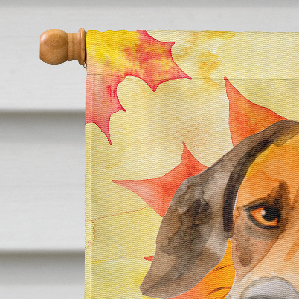Rhodesian Ridgeback Fall House Flag 28x40 Porch Sleeve Pole Decorative Outside Yard Banner Artwork Wall Hanging, Polyester