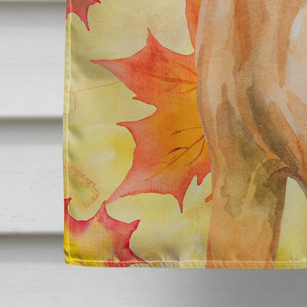 Rhodesian Ridgeback Fall House Flag 28x40 Porch Sleeve Pole Decorative Outside Yard Banner Artwork Wall Hanging, Polyester