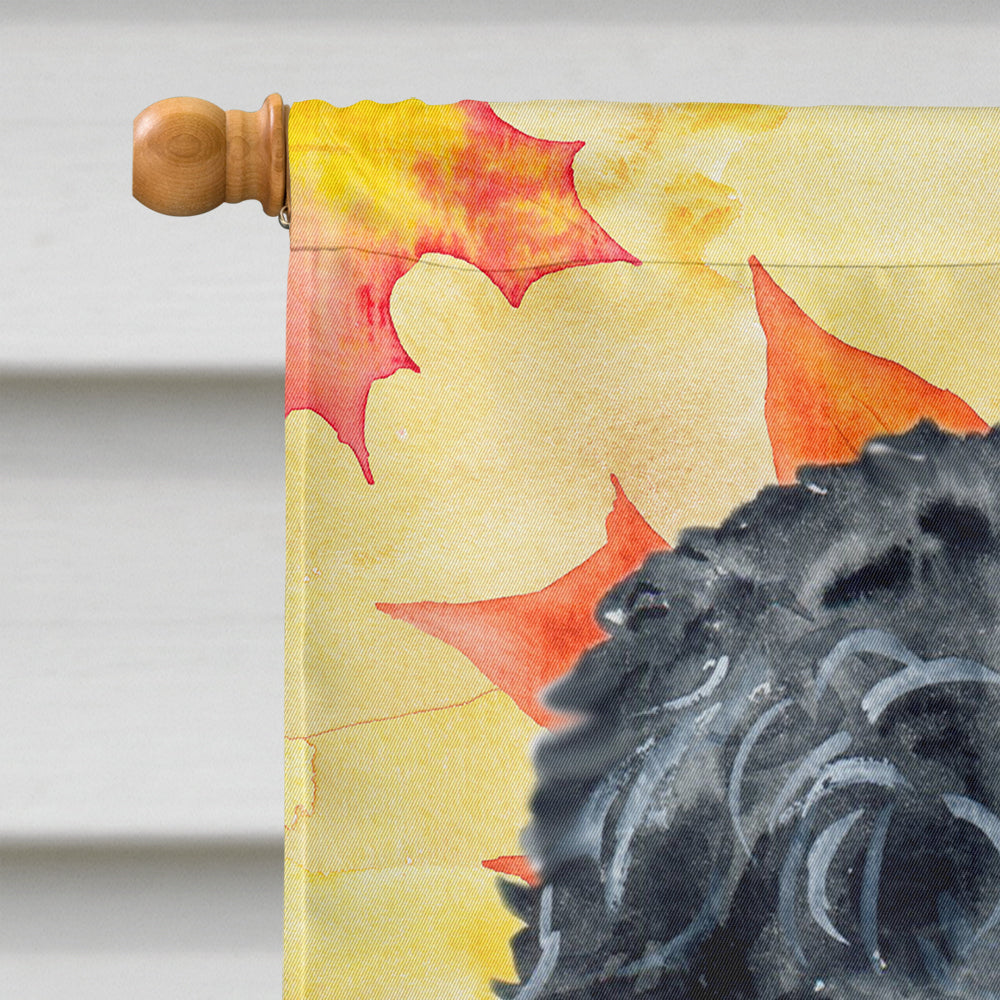 Black Russian Terrier Fall House Flag 28x40 Porch Sleeve Pole Decorative Outside Yard Banner Artwork Wall Hanging, Polyester