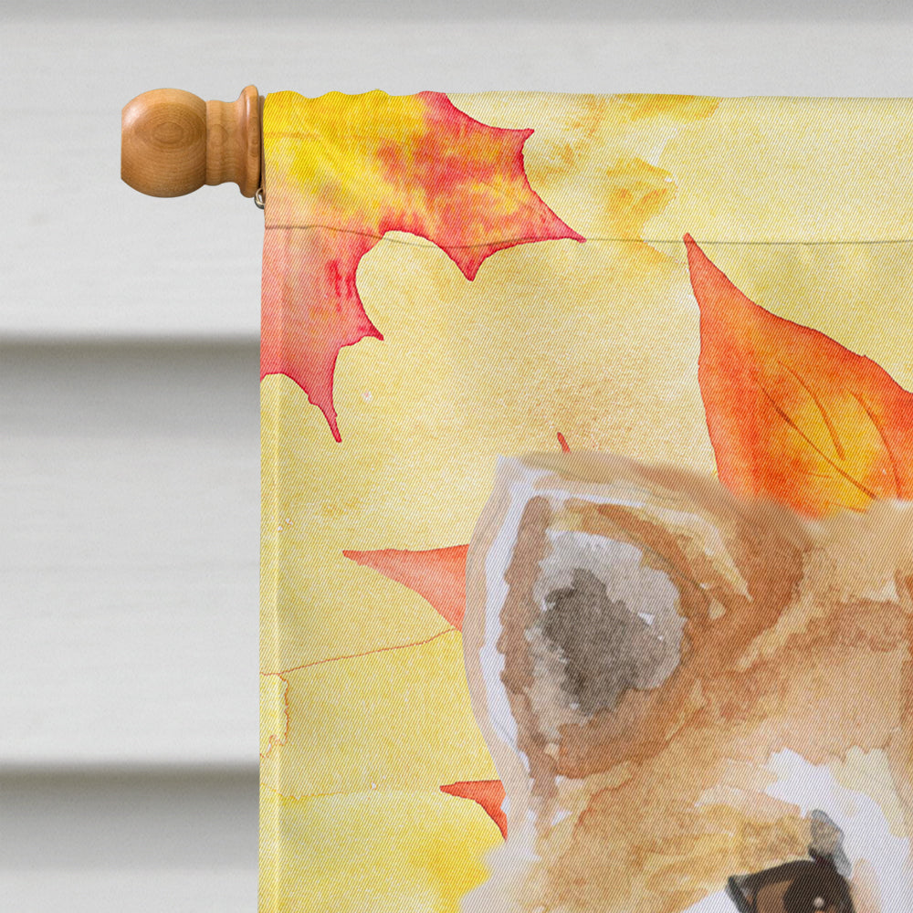 Shiba Inu Fall House Flag 28x40 Porch Sleeve Pole Decorative Outside Yard Banner Artwork Wall Hanging, Polyester