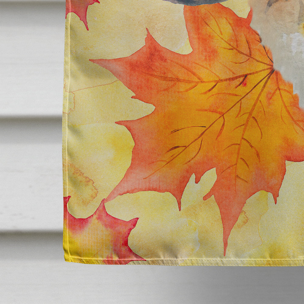 Saint Bernard Fall House Flag 28x40 Porch Sleeve Pole Decorative Outside Yard Banner Artwork Wall Hanging, Polyester