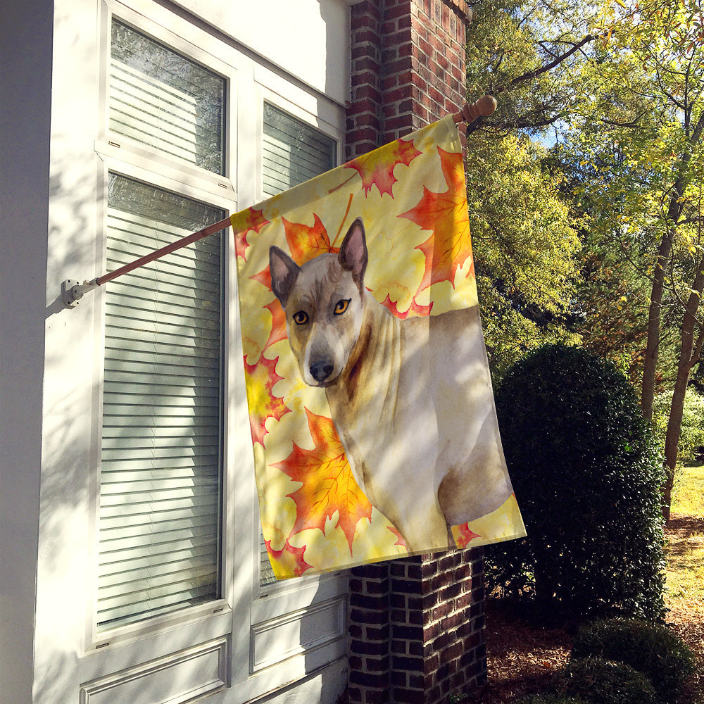 Thai Ridgeback Fall House Flag 28x40 Porch Sleeve Pole Decorative Outside Yard Banner Artwork Wall Hanging, Polyester