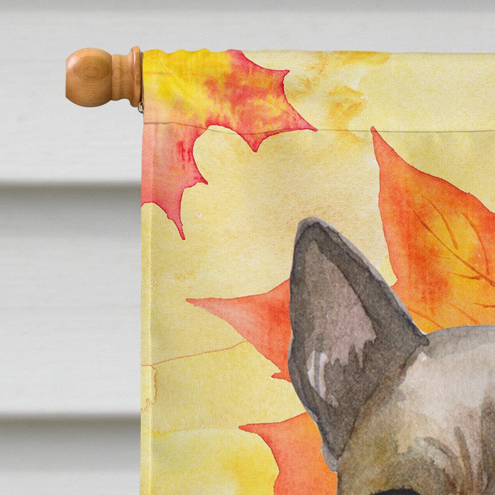 Thai Ridgeback Fall House Flag 28x40 Porch Sleeve Pole Decorative Outside Yard Banner Artwork Wall Hanging, Polyester