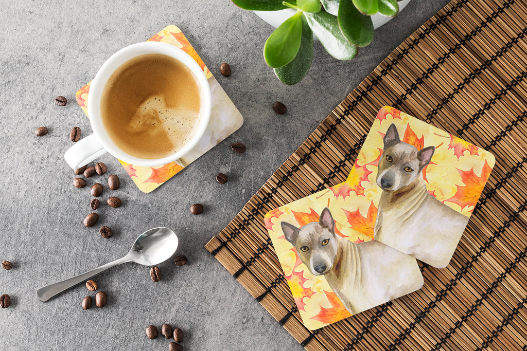 Thai Ridgeback Fall Foam Coasters Set of 4 Cup Coasters for Indoor Outdoor, Tabletop Protection, Anti Slip, Mouse pad Material