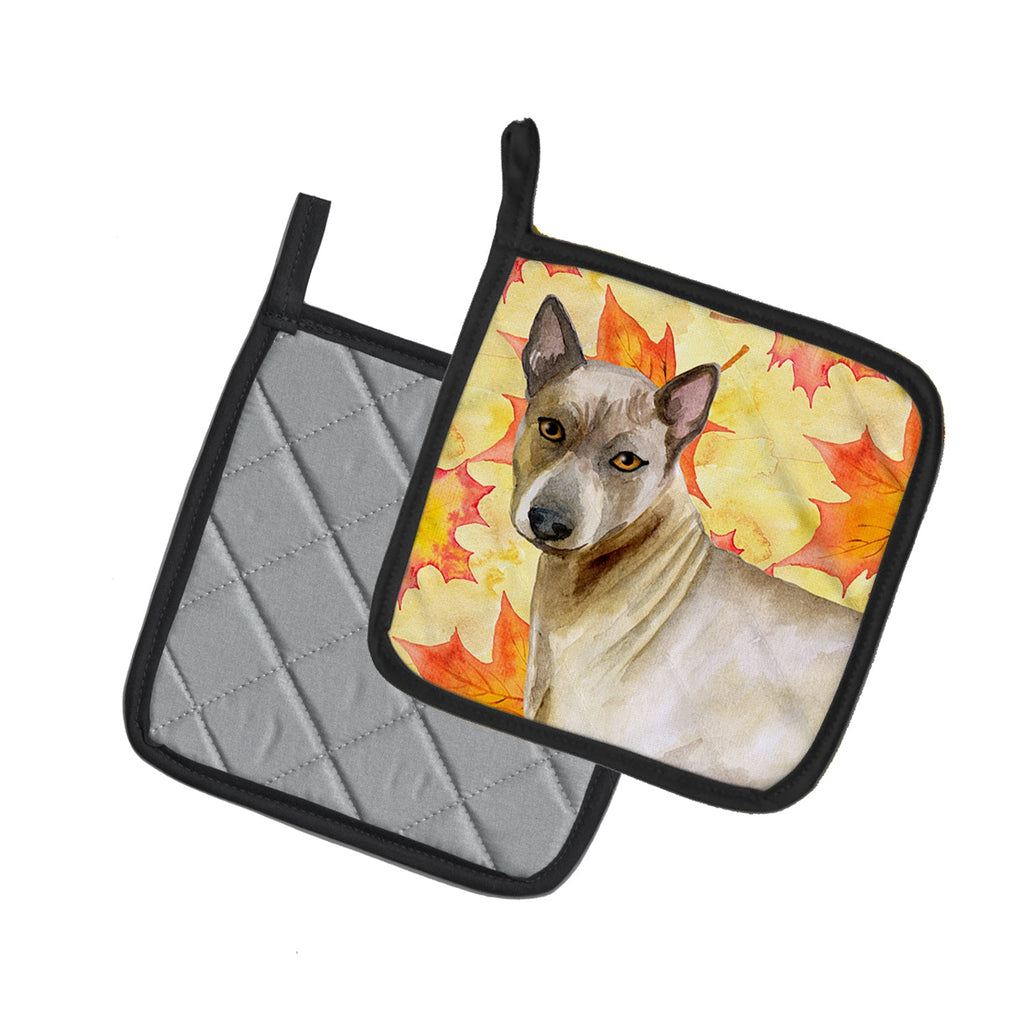Thai Ridgeback Fall Pot Holder Set of 2 Heat Resistant Quilted Hot Pads 7.5 x 7.5 Inch, Insulated Kitchen Trivets for Cooking & Baking