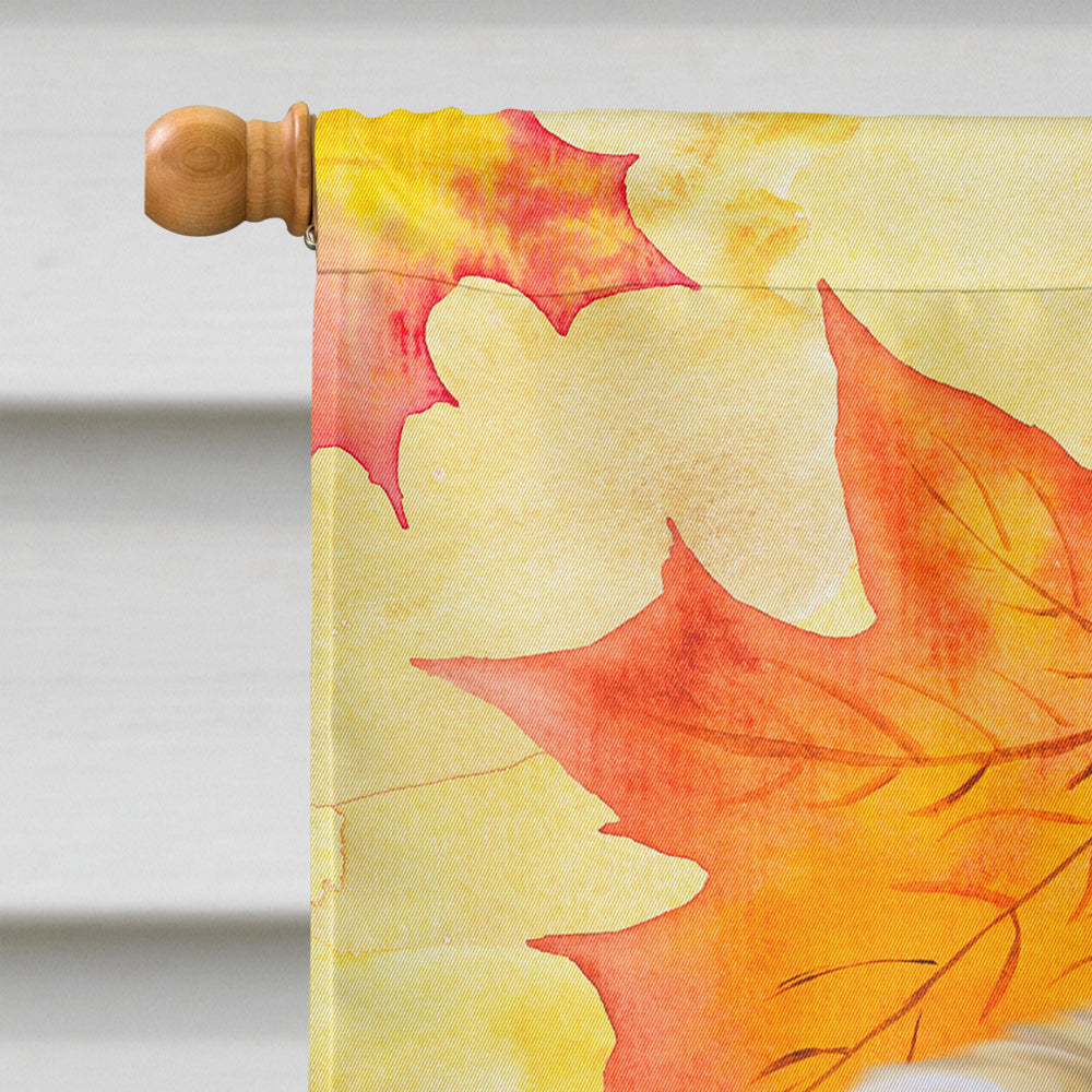 Pekingese Fall House Flag 28x40 Porch Sleeve Pole Decorative Outside Yard Banner Artwork Wall Hanging, Polyester