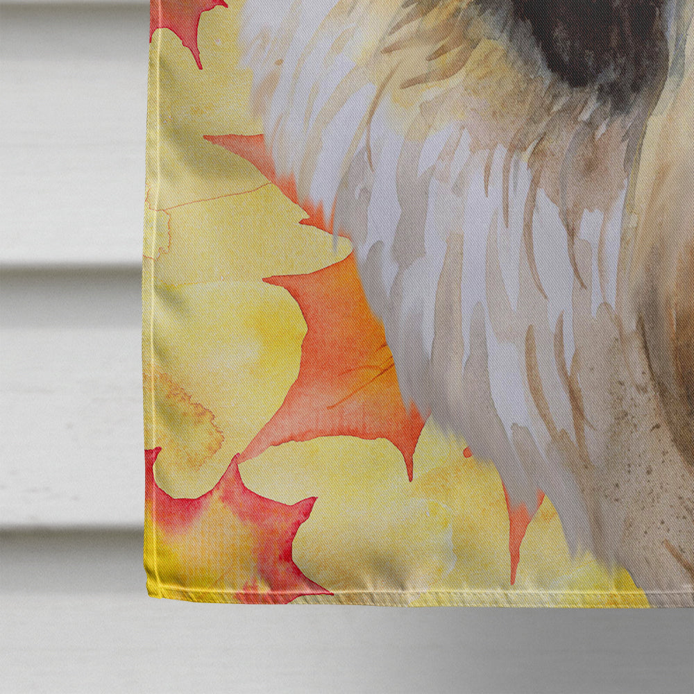 Pekingese Fall House Flag 28x40 Porch Sleeve Pole Decorative Outside Yard Banner Artwork Wall Hanging, Polyester