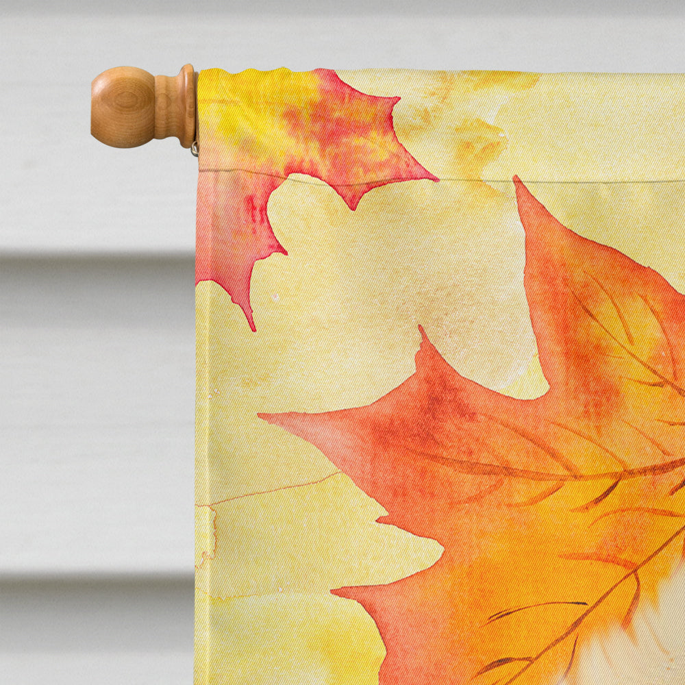 Pomeranian Fall House Flag 28x40 Porch Sleeve Pole Decorative Outside Yard Banner Artwork Wall Hanging, Polyester