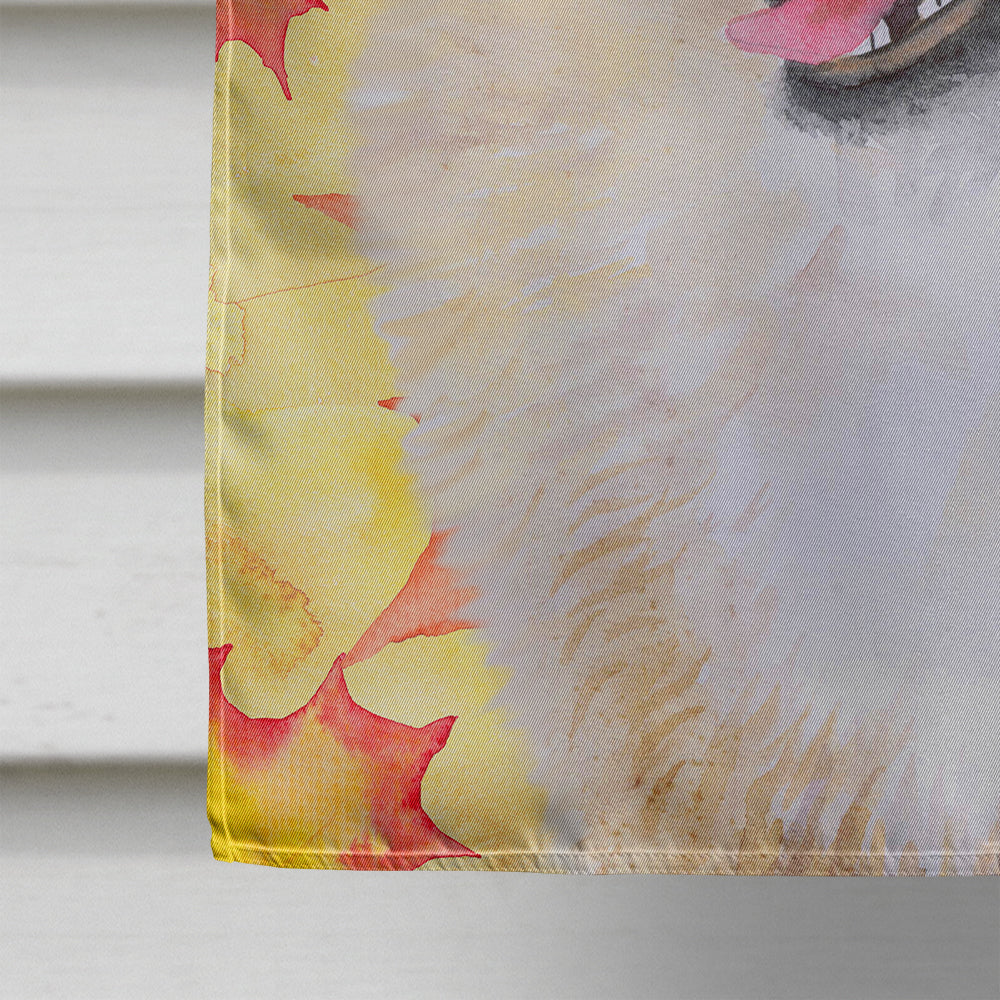 Pomeranian Fall House Flag 28x40 Porch Sleeve Pole Decorative Outside Yard Banner Artwork Wall Hanging, Polyester