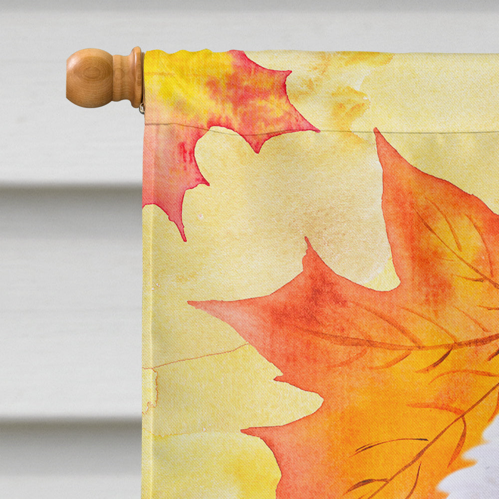 Medium White Poodle Fall House Flag 28x40 Porch Sleeve Pole Decorative Outside Yard Banner Artwork Wall Hanging, Polyester