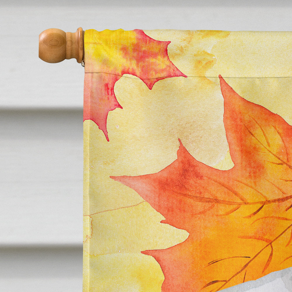 Sealyham Terrier Fall House Flag 28x40 Porch Sleeve Pole Decorative Outside Yard Banner Artwork Wall Hanging, Polyester