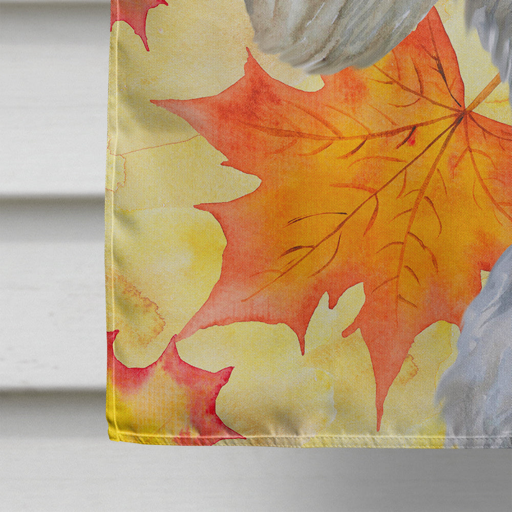 Sealyham Terrier Fall House Flag 28x40 Porch Sleeve Pole Decorative Outside Yard Banner Artwork Wall Hanging, Polyester