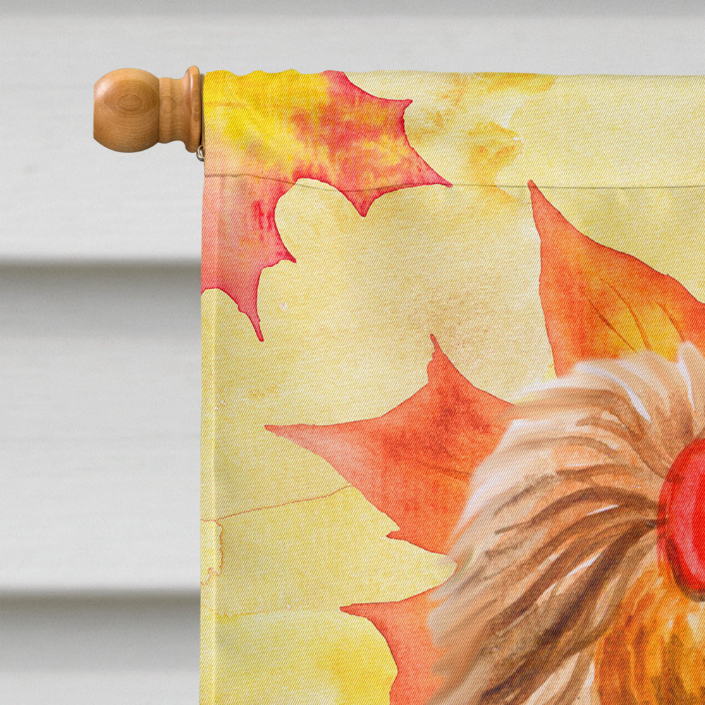 Yorkshire Terrier Fall House Flag 28x40 Porch Sleeve Pole Decorative Outside Yard Banner Artwork Wall Hanging, Polyester