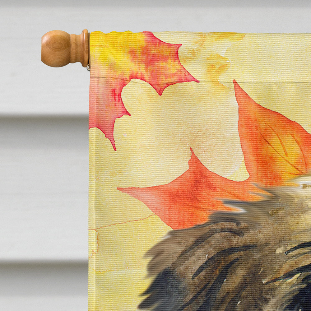 Brussels Griffon Fall House Flag 28x40 Porch Sleeve Pole Decorative Outside Yard Banner Artwork Wall Hanging, Polyester