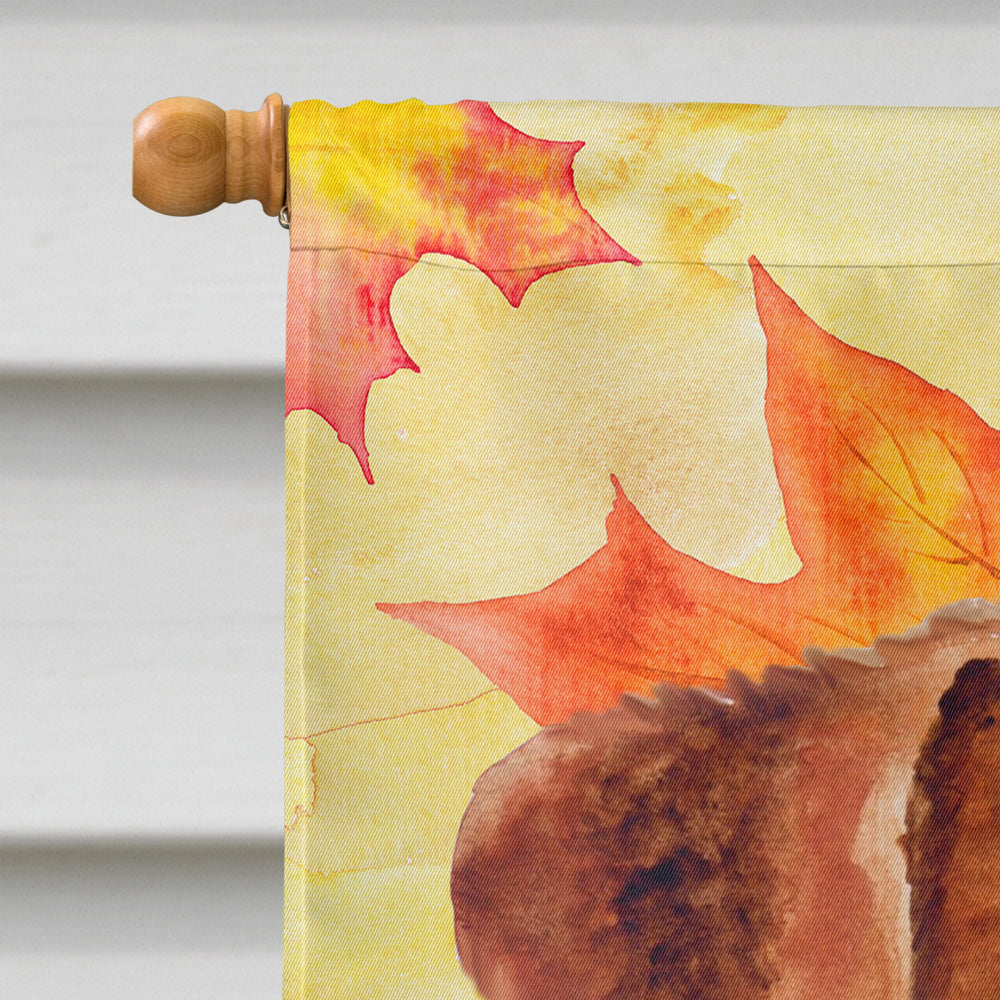 Jack Russell Terrier Fall House Flag 28x40 Porch Sleeve Pole Decorative Outside Yard Banner Artwork Wall Hanging, Polyester