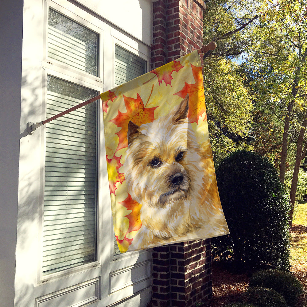 Cairn Terrier Fall House Flag 28x40 Porch Sleeve Pole Decorative Outside Yard Banner Artwork Wall Hanging, Polyester
