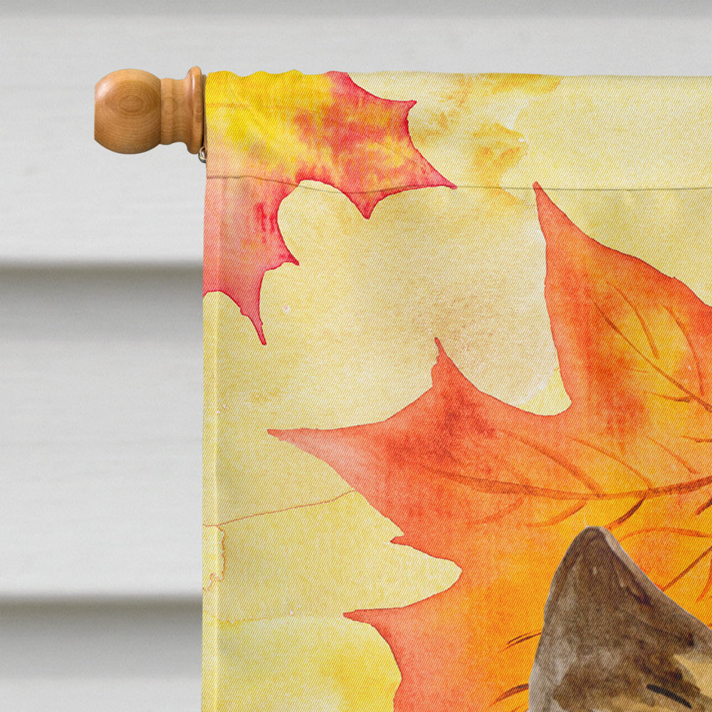 Cairn Terrier Fall House Flag 28x40 Porch Sleeve Pole Decorative Outside Yard Banner Artwork Wall Hanging, Polyester