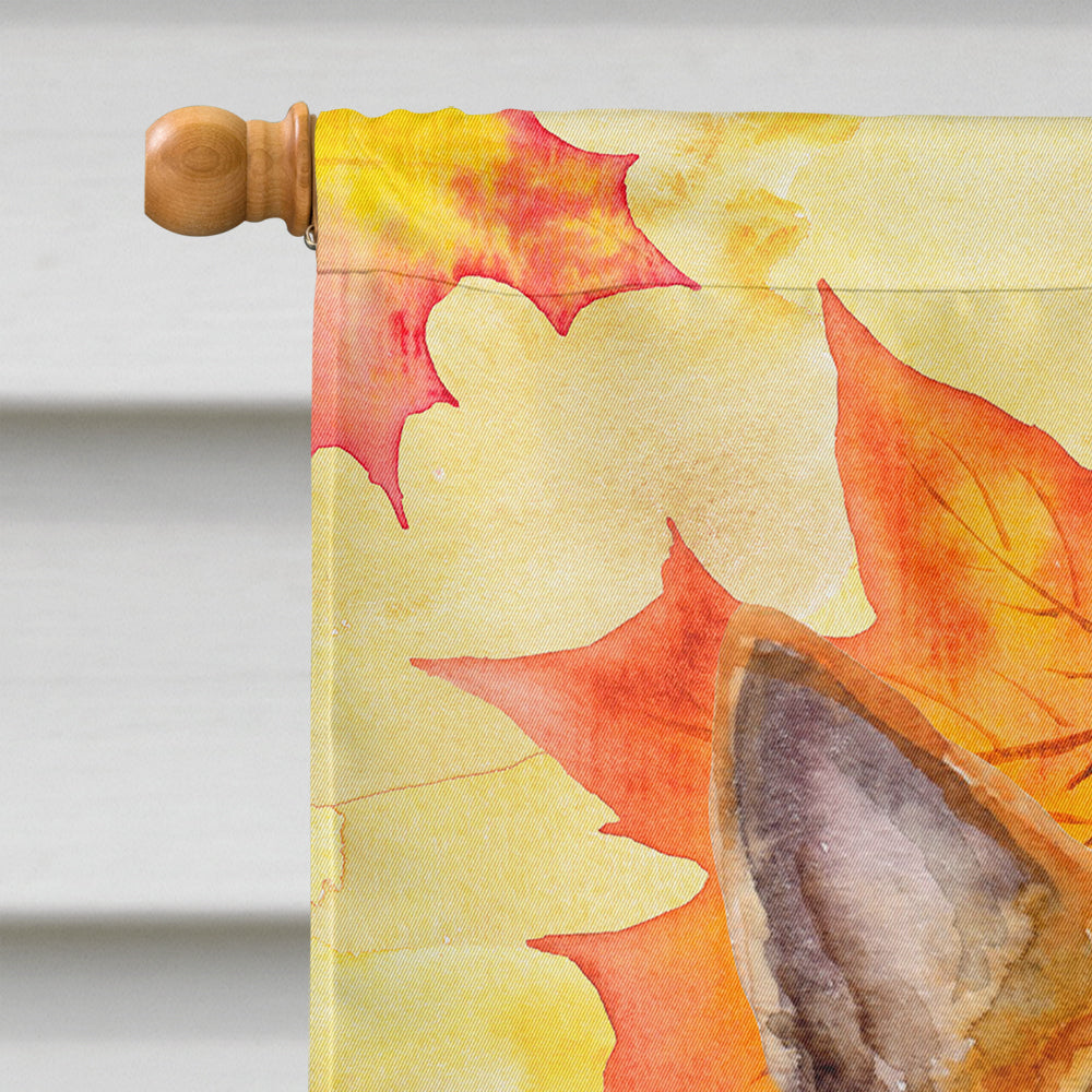 Basenji Fall House Flag 28x40 Porch Sleeve Pole Decorative Outside Yard Banner Artwork Wall Hanging, Polyester