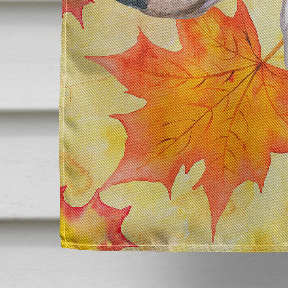 Bull Terrier Fall House Flag 28x40 Porch Sleeve Pole Decorative Outside Yard Banner Artwork Wall Hanging, Polyester